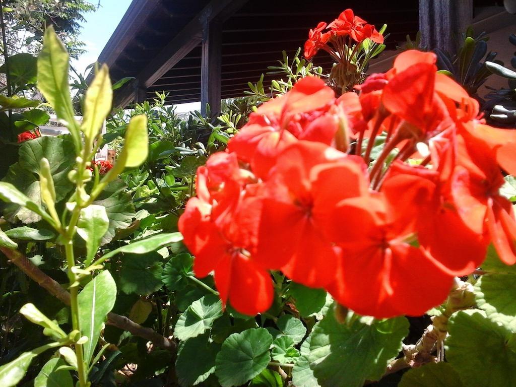 Nonnasara Bed And Breakfast Valderice Dış mekan fotoğraf